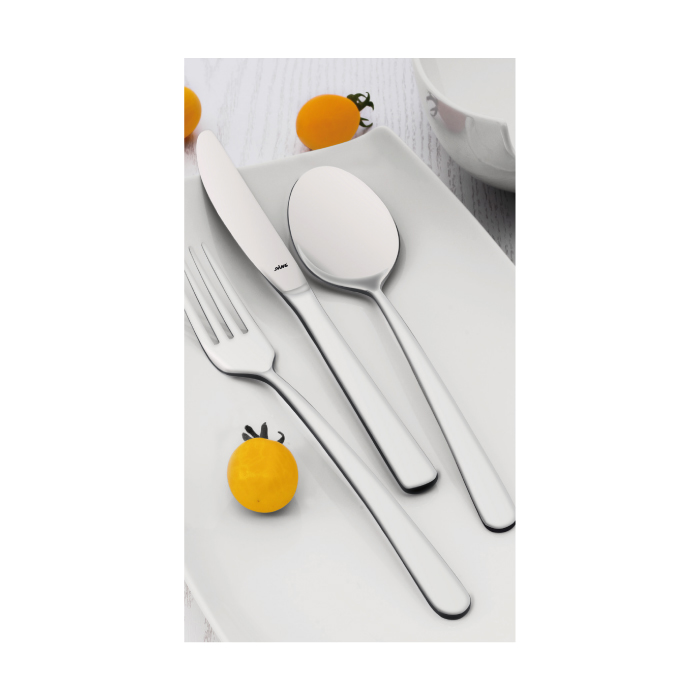 PRESTIGE table spoon
