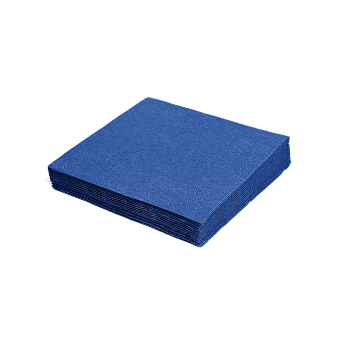 Napkins 2-ply, 24 x 24 cm