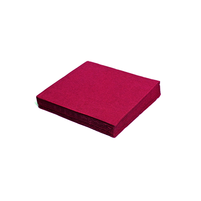 Napkins 2-ply, 24 x 24 cm
