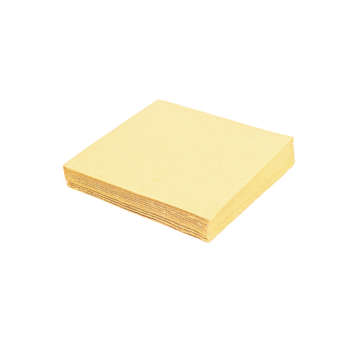 Napkins 2-ply, 24 x 24 cm