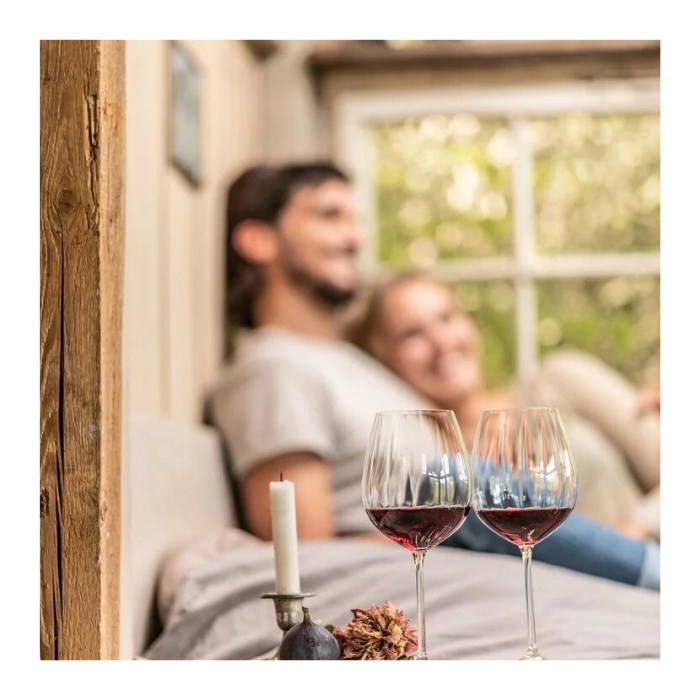 Wineshine Allround 373 ml