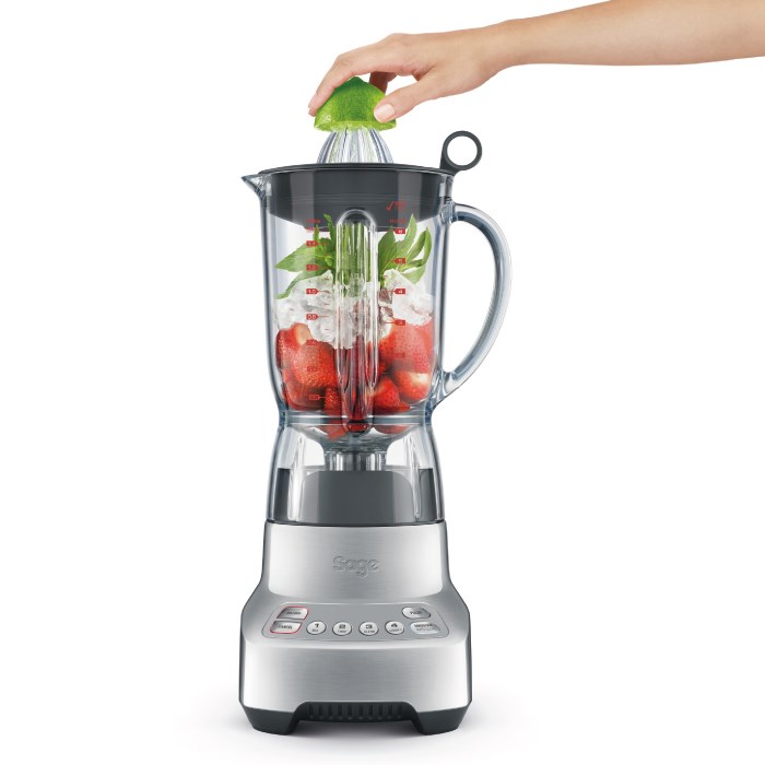 mixer barový BBL405 SAGE záruka 12 měsíců