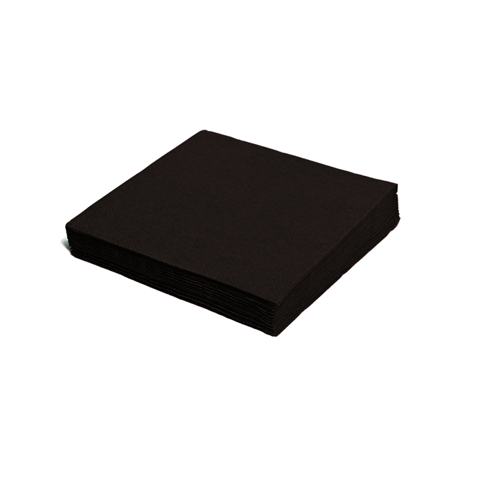 Napkins 2-ply 24x24cm black